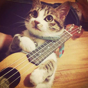 又爽又黄的动漫
